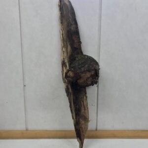 Pahka - Purkukolmio.fi