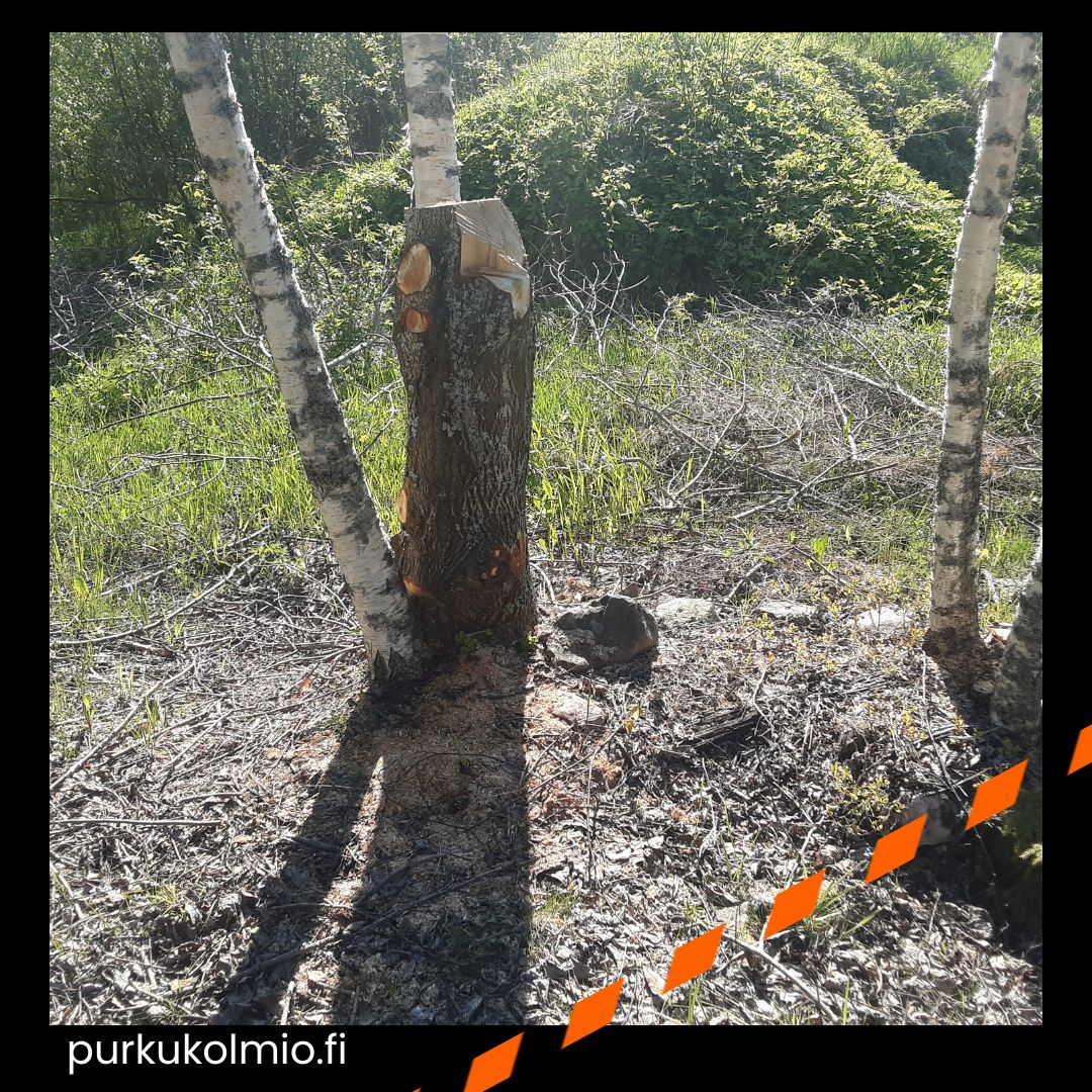 Harrastetta - Purkukolmio.fi