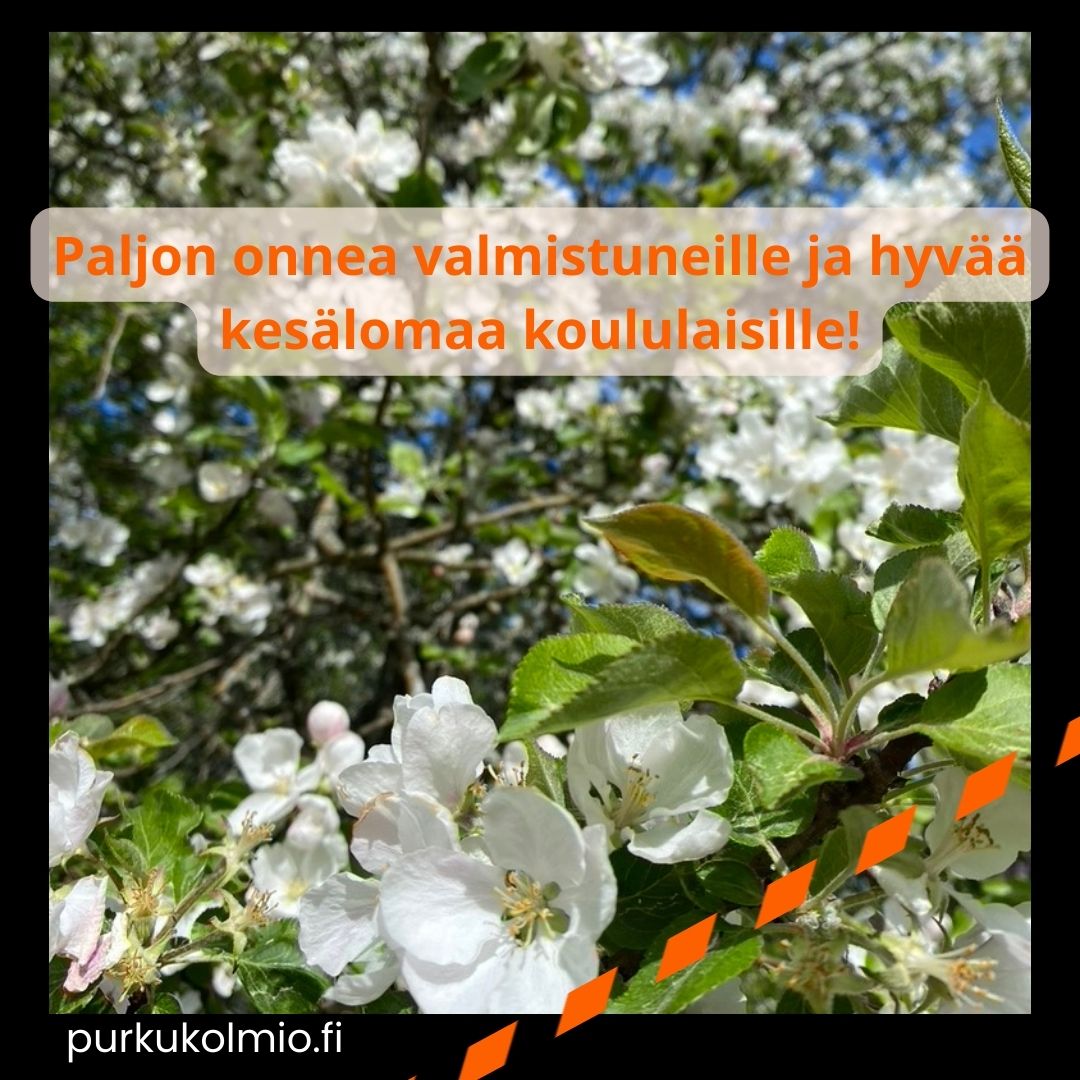 Onnea valmistuneille