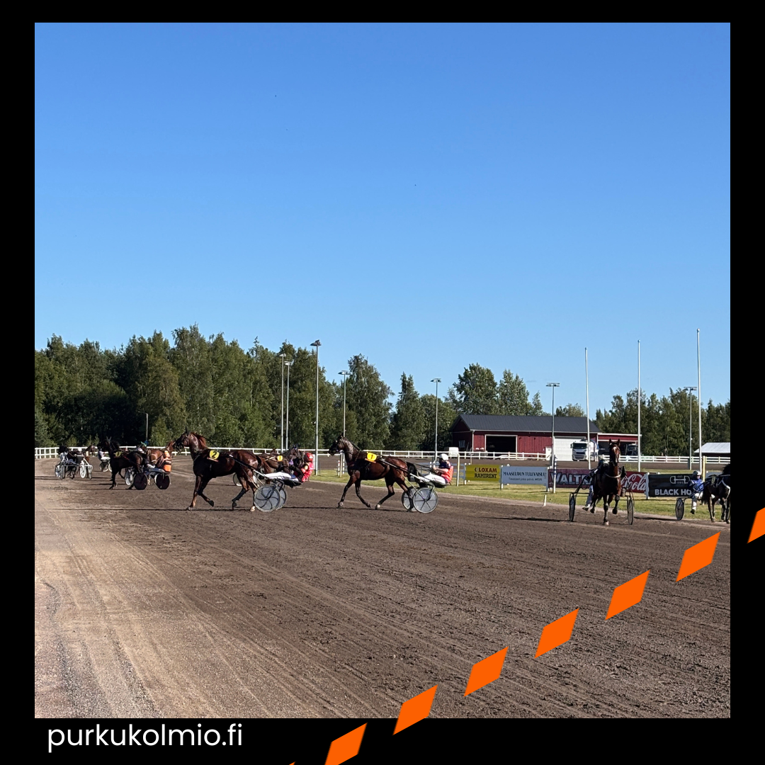 Ravit