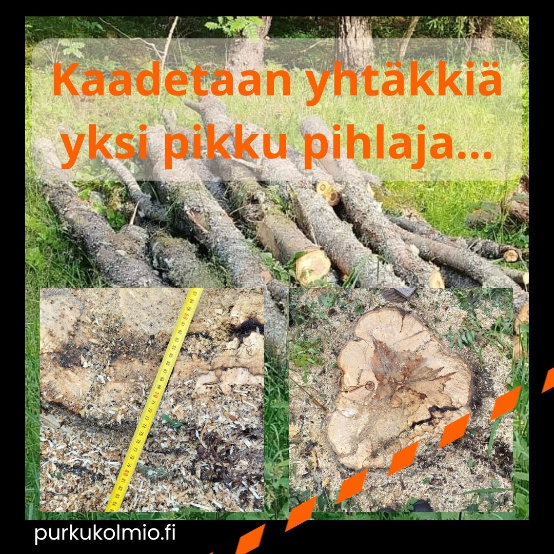 Yksi pikku puu - purkukolmio.fi