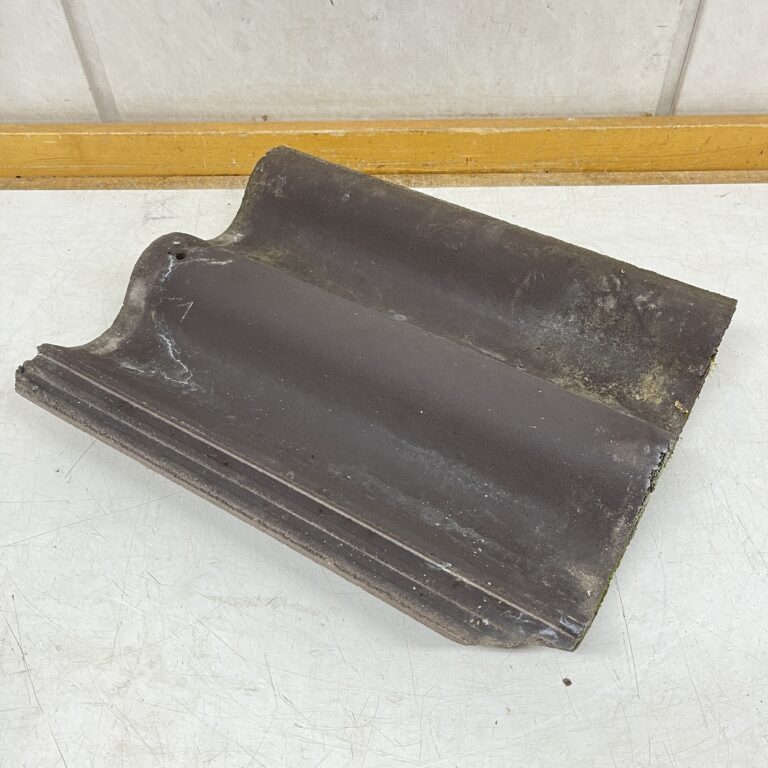 IMG 3317