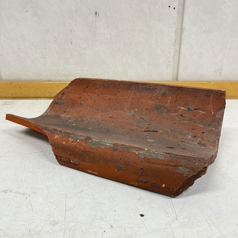 IMG E3093
