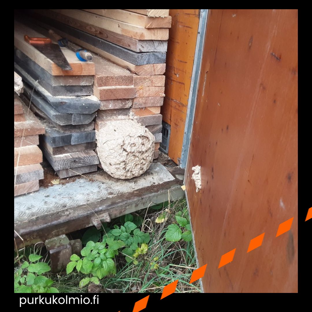 Ampiaispesä - purkukolmio.fi